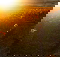 HOOSEGG Cellar Door - Mackay Tourism