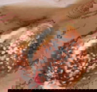 Baker's Delight - Broadbeach - Mackay Tourism