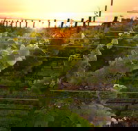 Bennetts on Bellarine Winery - Mackay Tourism