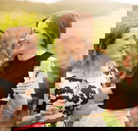 De Bortoli Wines Pokolbin - Mackay Tourism