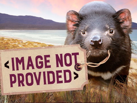 Earthy Eats - Mackay Tourism 0