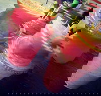 Fresh Garden Cafe - Mackay Tourism