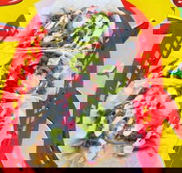 Muchacha - Narrabeen - Mackay Tourism