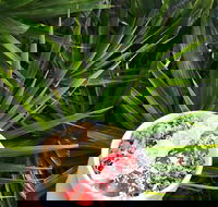 Red Cardinal Cafe and Catering - Mackay Tourism