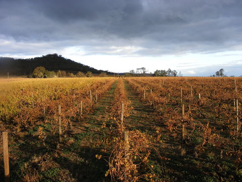 Booths Taminick Cellars - Mackay Tourism 2