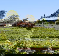 djinta djinta Winery - Mackay Tourism