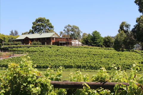 Djinta Djinta Winery - Mackay Tourism 0