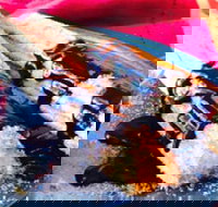 Donut King - Taylors Lakes - Mackay Tourism