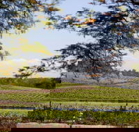 Wynwood Estate - Mackay Tourism