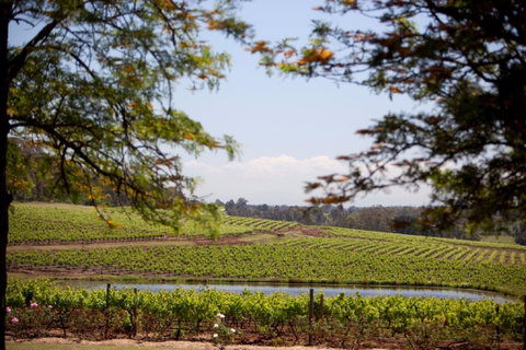 Wynwood Estate - Mackay Tourism 0