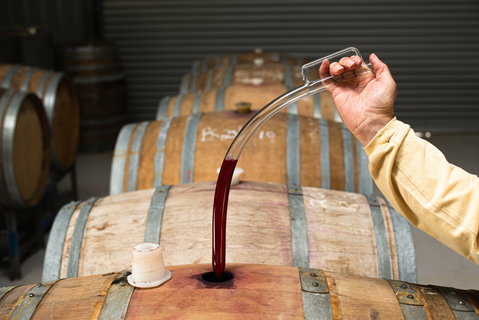 Herbert Vineyard Cellar Door - Mackay Tourism 1