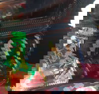 Iron Chef Dine-In  Takeaway - Mackay Tourism