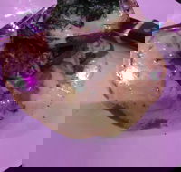 Kokonut Willy's Bar and Grill - Mackay Tourism