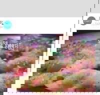 Cafe Invigor8 - Mackay Tourism