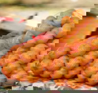 Mathoura Mandarins - Mackay Tourism