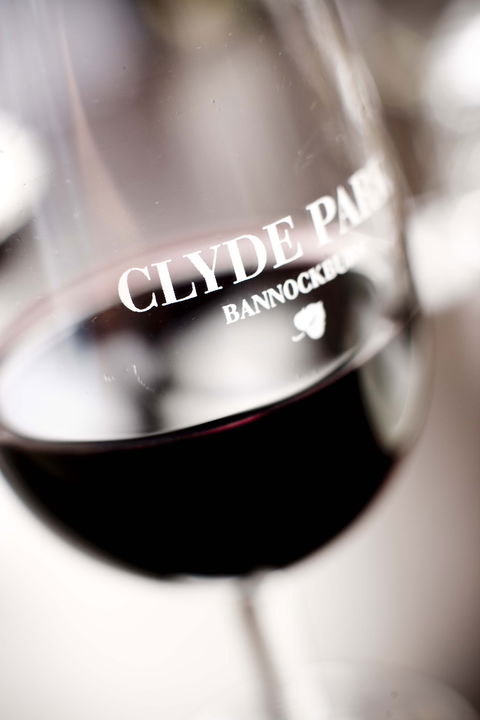 Clyde Park Vineyard & Bistro - Mackay Tourism 0