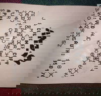 Bubba Pizza - Mount Barker - Mackay Tourism