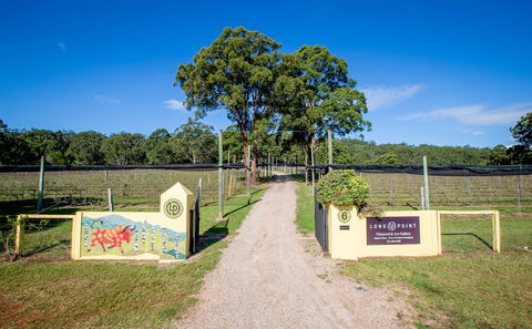 Long Point Vineyard And Art Gallery - Mackay Tourism 1