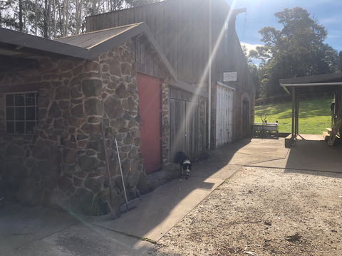 Wilmot Hills Orchard & Distillery - Mackay Tourism 1