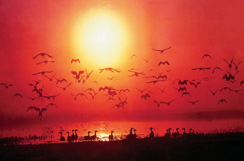 Fannie Bay Super Pizza - Mackay Tourism 0