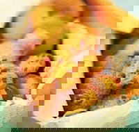 Mrs. Fields - Taylors Lakes - Mackay Tourism