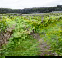 Suffoir Winery Brewery and Cidery - Mackay Tourism