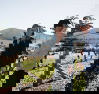 Warrabilla Wines - Mackay Tourism