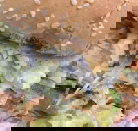 Great North Seafood - Mackay Tourism