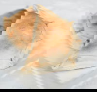 Latin Foods and Wines - Mackay Tourism