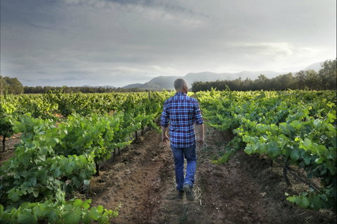 Thomas Wines - Mackay Tourism 2