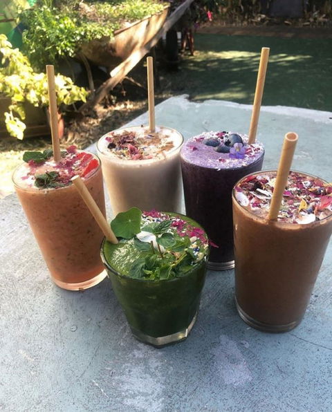 Garden Grub Cafe - Mackay Tourism 0