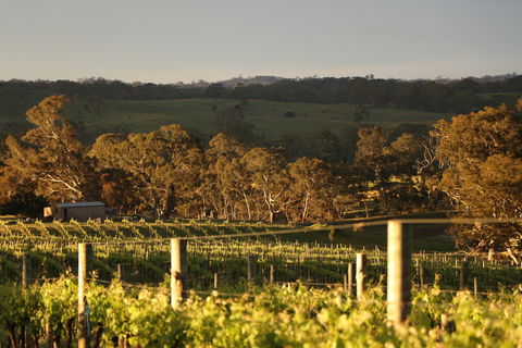 Max & Me Wine Tasting @ Eden Valley Hotel - Mackay Tourism 1