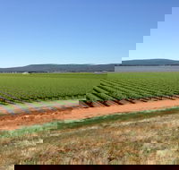 Melange Wines - Mackay Tourism
