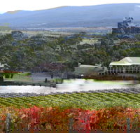 Milton Vineyard - Mackay Tourism