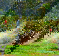 The Red Apron Gourmet Kitchen - Mackay Tourism