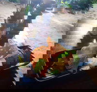 Beach Shack Restaurant - Mackay Tourism