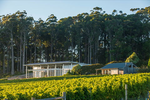 Moores Hill Estate - Mackay Tourism 0