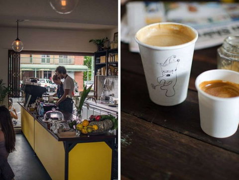 Punch And Daisy - Mackay Tourism 0