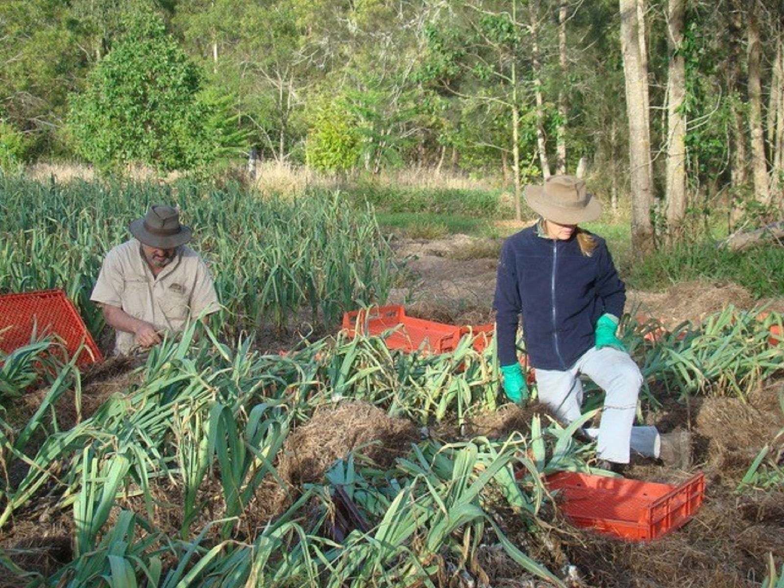 Temagog NSW Mackay Tourism