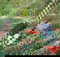 Sweet Water Farm - Mackay Tourism