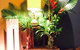 Bellagio Cafe - thumb 0