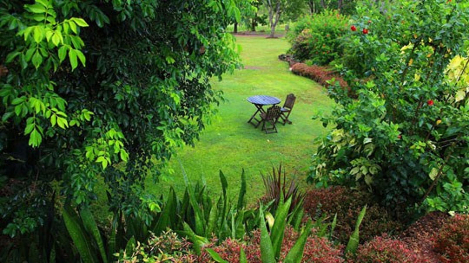 Emerald Springs NT Mackay Tourism