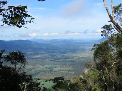 Platypus Lodge Restaurant And Cafe - Mackay Tourism 0