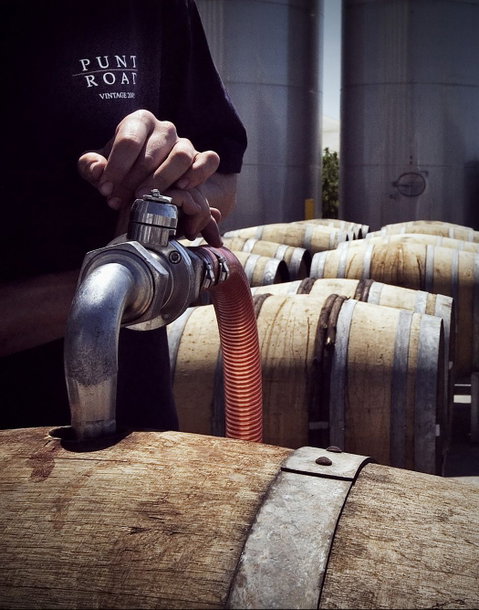 Punt Road Winery - Mackay Tourism 2