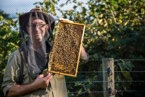 Pure Peninsula Honey - Mackay Tourism 0