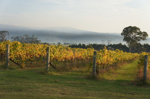 Rusty Fig Wines - Mackay Tourism 1