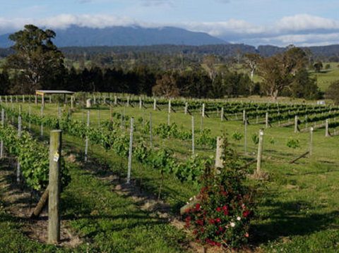 Rusty Fig Wines - Mackay Tourism 2