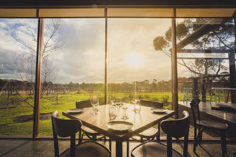 Stumpy Gully Vineyard - Mackay Tourism 1