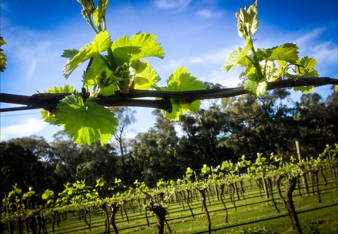 Michael Unwin Wines - Mackay Tourism 1