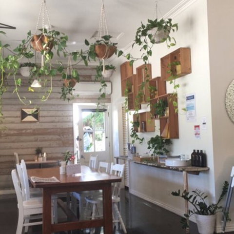 Sonny - Mackay Tourism 1